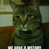 tomdacat