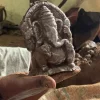 ramakrishnaxyz