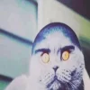 denoluma
